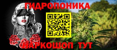 ГАЛЛЮЦИНОГЕННЫЕ ГРИБЫ Северобайкальск